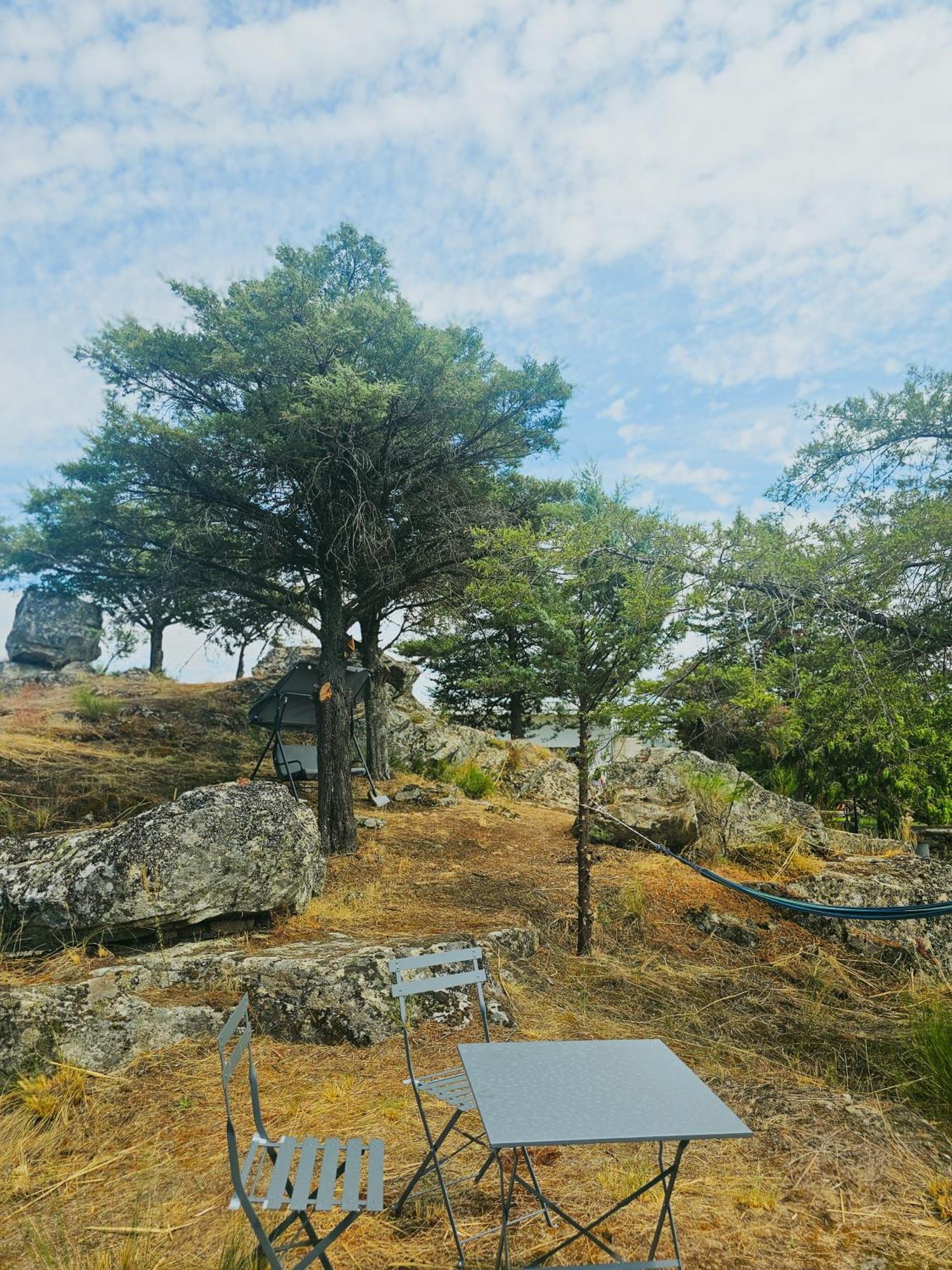 Juncao - Apartamentos Completos Miranda do Douro Exteriör bild